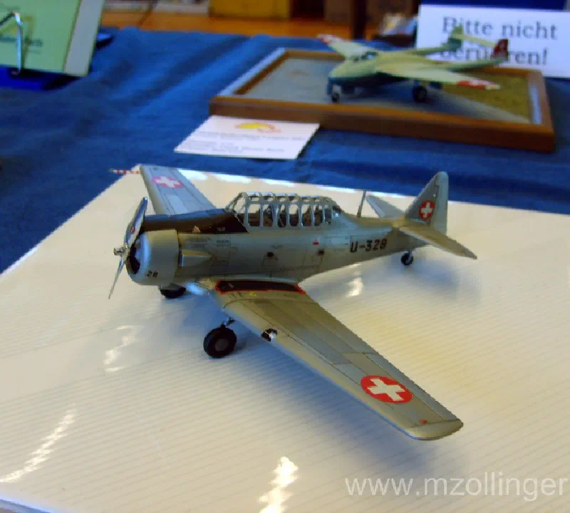 Basler Modellbautage 2008