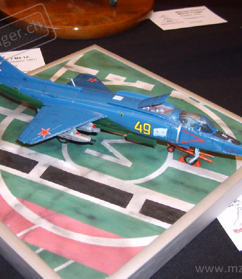 Basler Modellbautage 2009