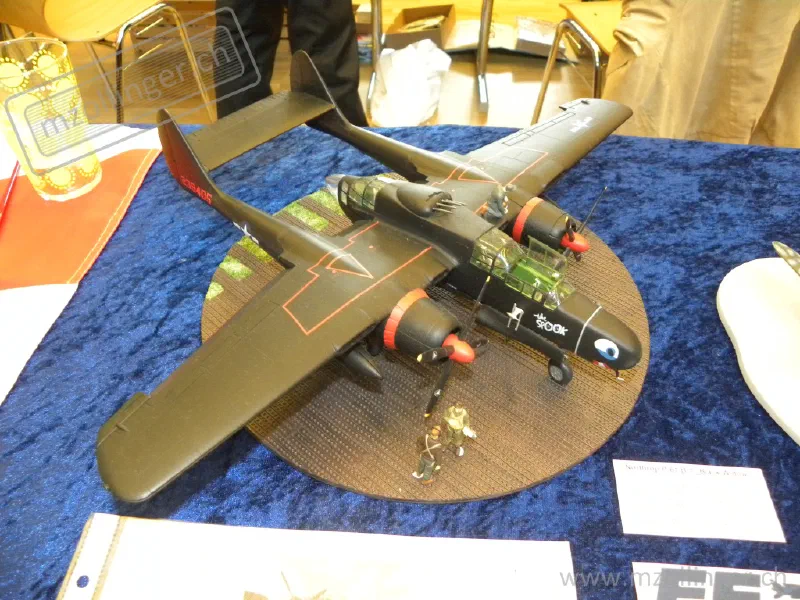 Basler Modellbautage 2010