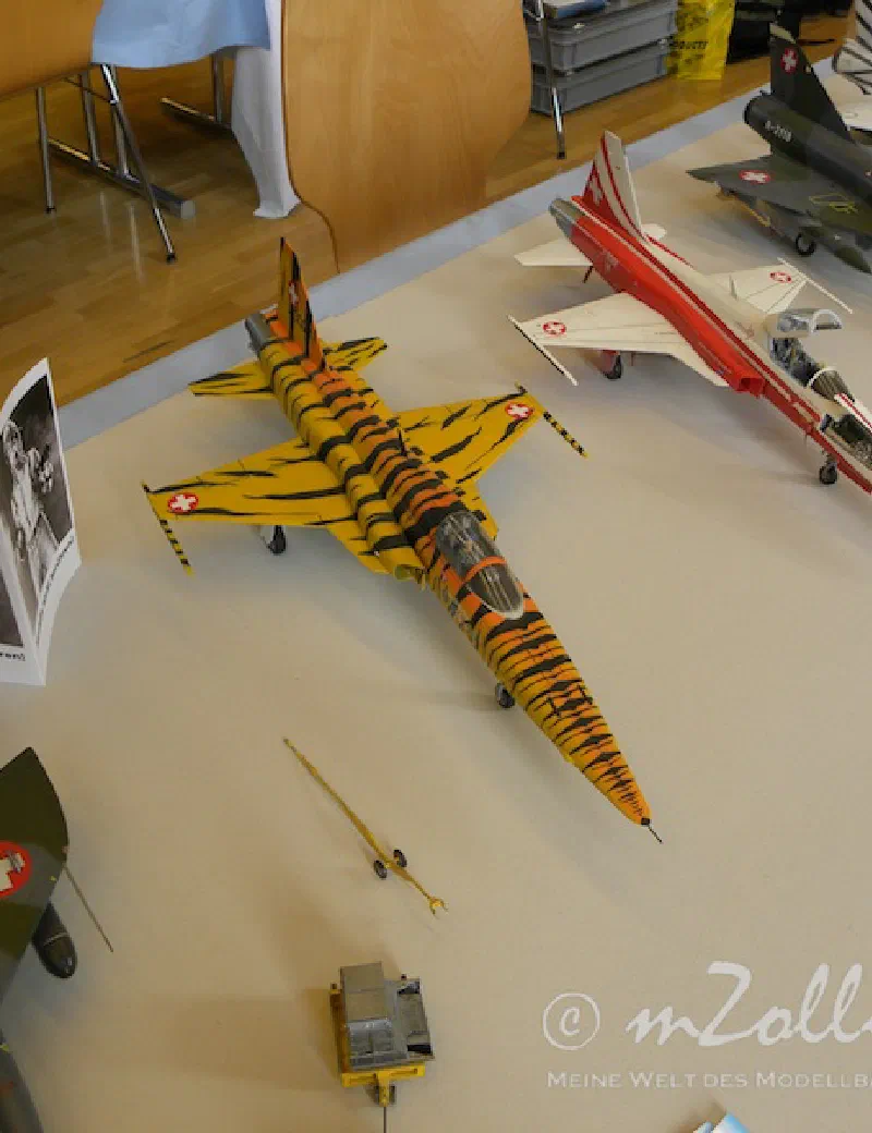 Basler Modellbautage 2013